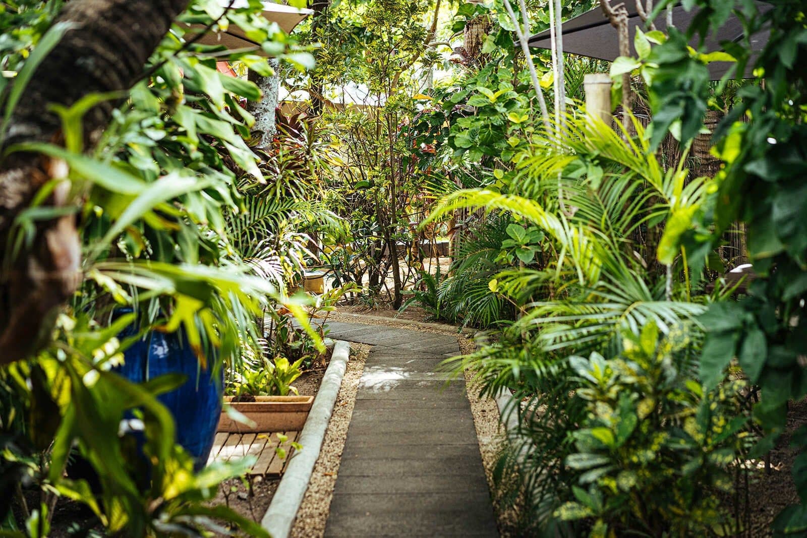 Allée végétalisée du jardin
