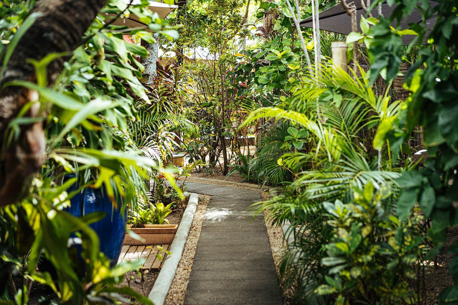 Allée végétalisée du jardin