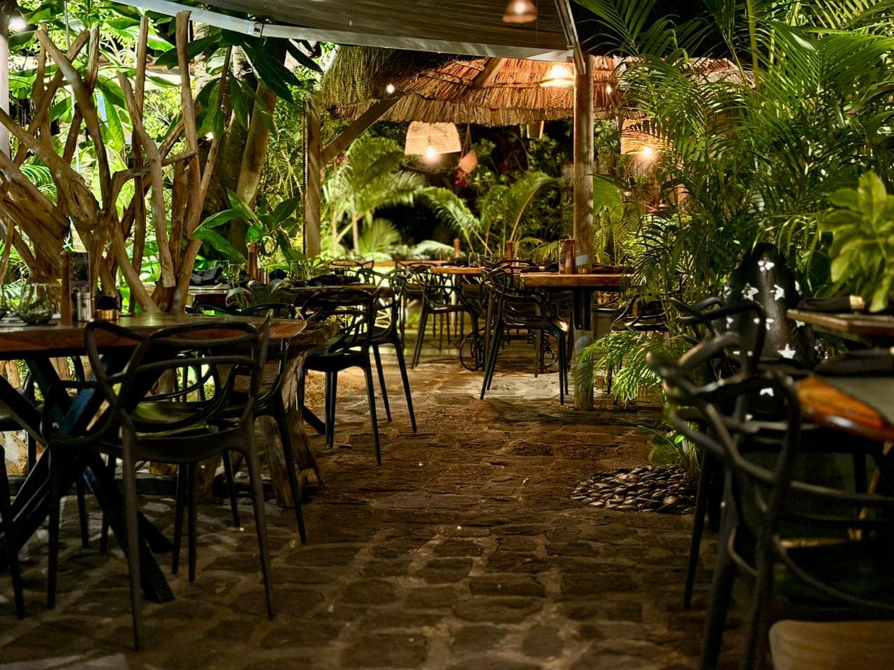 Terrasse du Poivrier avec sa balançoire suspendue et la végétation tropicale