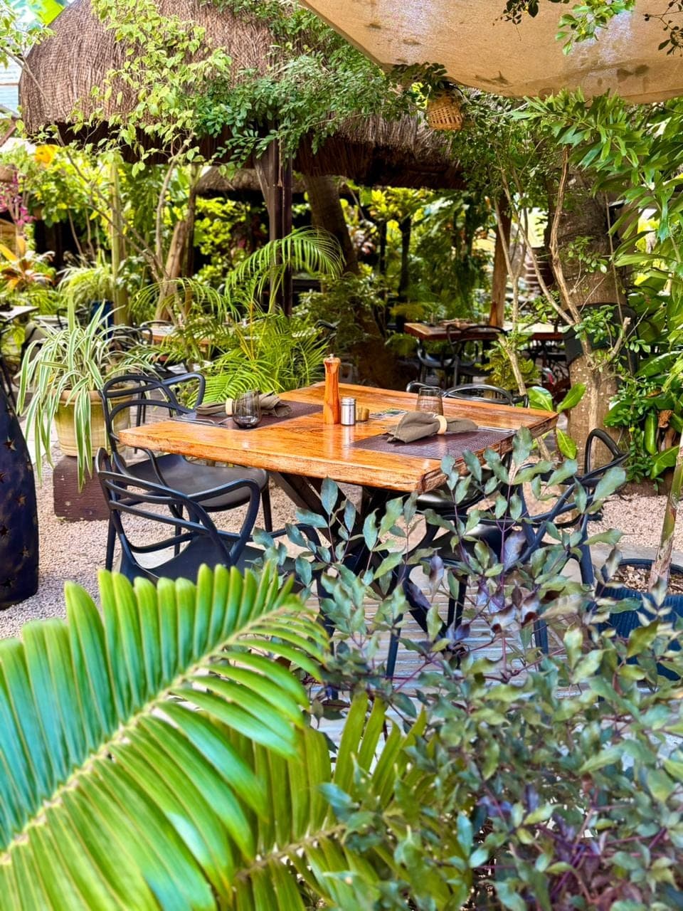Cabane et terrasse couverte du Poivrier, en bois clair, ouverte sur la végétation tropicale